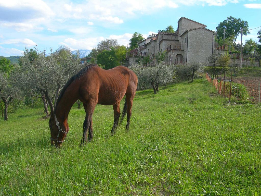 Agriturismo Borgo San Martino Villa Abbateggio Bagian luar foto