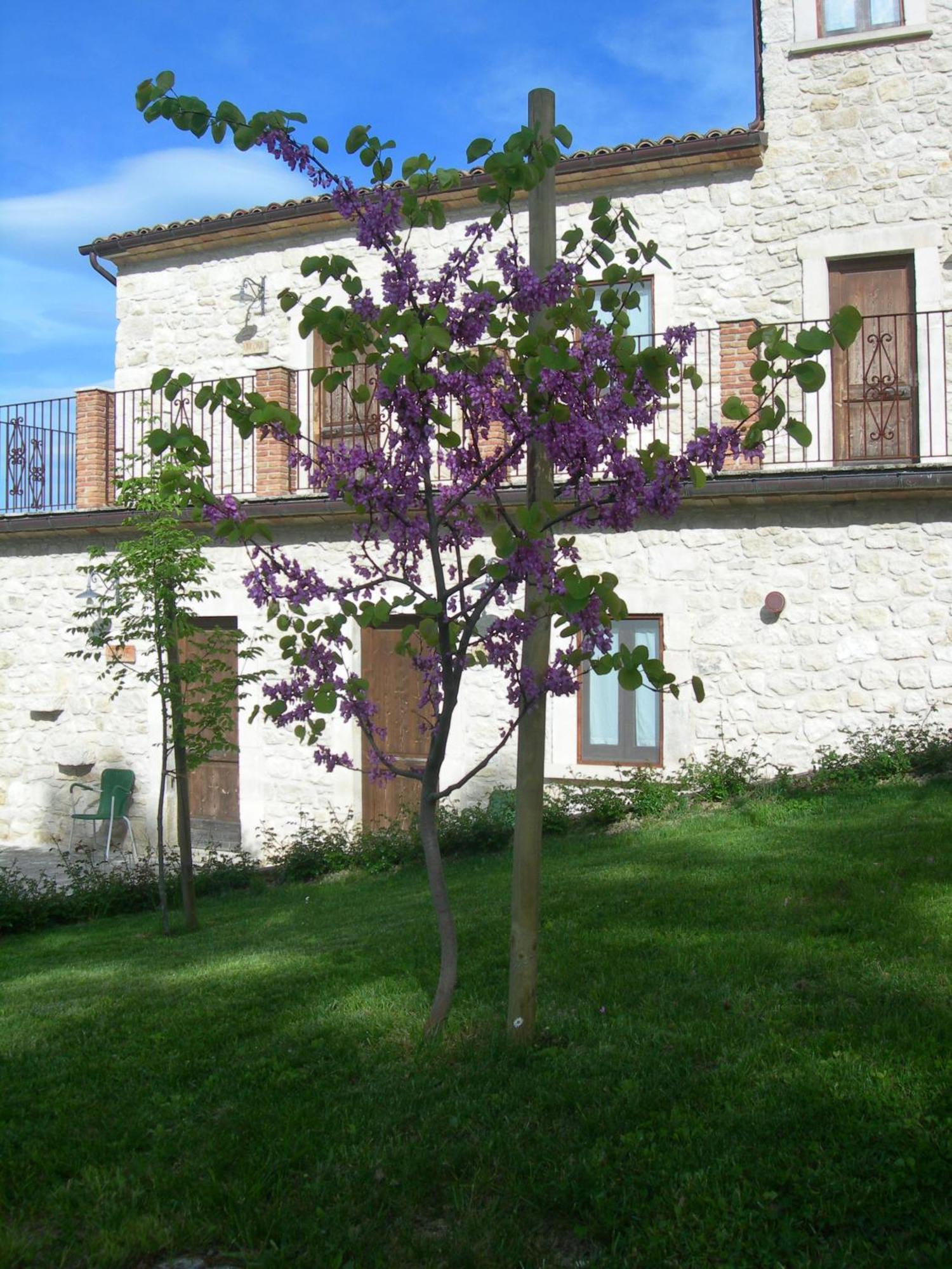 Agriturismo Borgo San Martino Villa Abbateggio Bagian luar foto