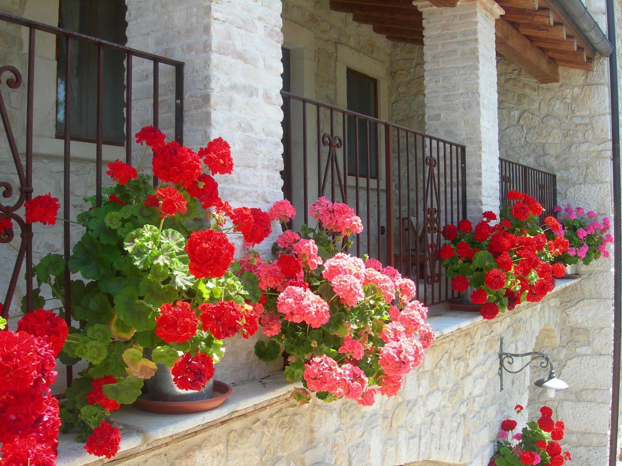 Agriturismo Borgo San Martino Villa Abbateggio Bagian luar foto